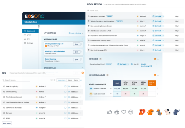 An EOS® Implementer’s Guide on How to IDS (Identify, Discuss and Solve ...